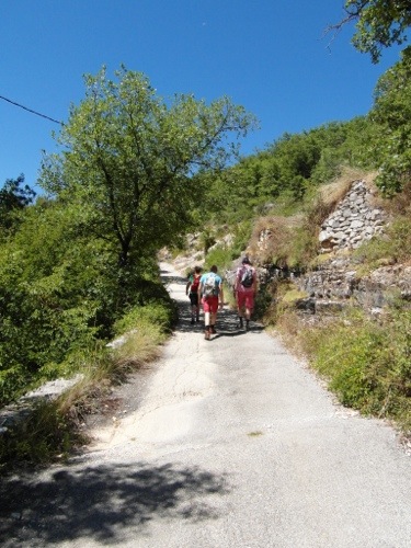 20130731-214137.jpg