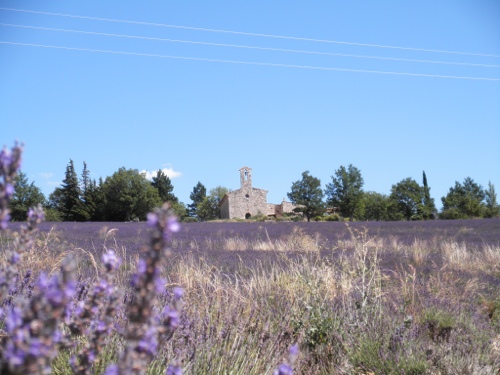 20130801-224540.jpg