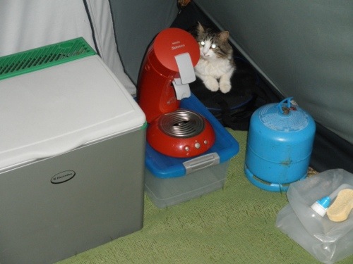 20130801-225416.jpg