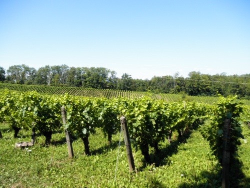 20130817-222322.jpg