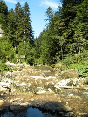 20130822-215951.jpg