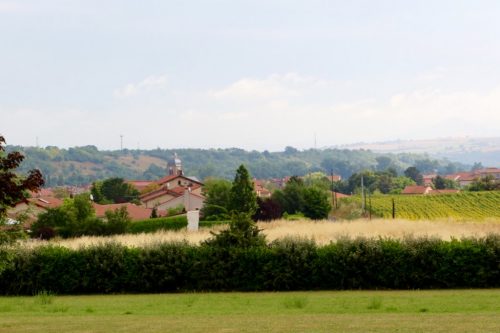 Uitzicht rechts van de tent